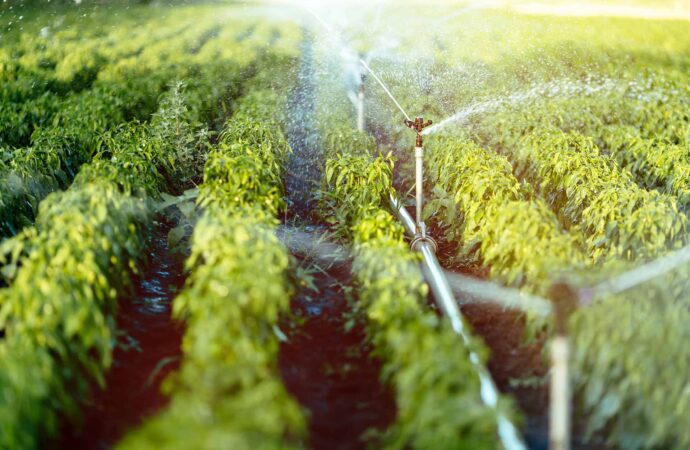 Irrigation System, Installation, & Repairs-Carrollton TX Landscape Designs & Outdoor Living Areas-We offer Landscape Design, Outdoor Patios & Pergolas, Outdoor Living Spaces, Stonescapes, Residential & Commercial Landscaping, Irrigation Installation & Repairs, Drainage Systems, Landscape Lighting, Outdoor Living Spaces, Tree Service, Lawn Service, and more. Irrigation System, Installation, & Repairs-Carrollton TX Landscape Designs & Outdoor Living Areas-We offer Landscape Design, Outdoor Patios & Pergolas, Outdoor Living Spaces, Stonescapes, Residential & Commercial Landscaping, Irrigation Installation & Repairs, Drainage Systems, Landscape Lighting, Outdoor Living Spaces, Tree Service, Lawn Service, and more.
